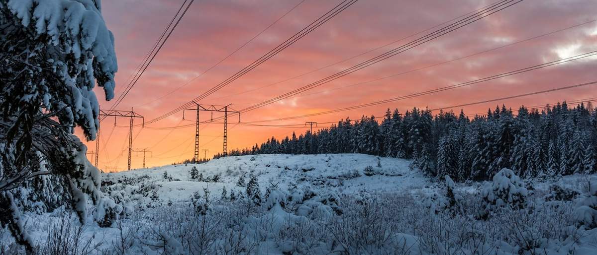Information om elstöd
